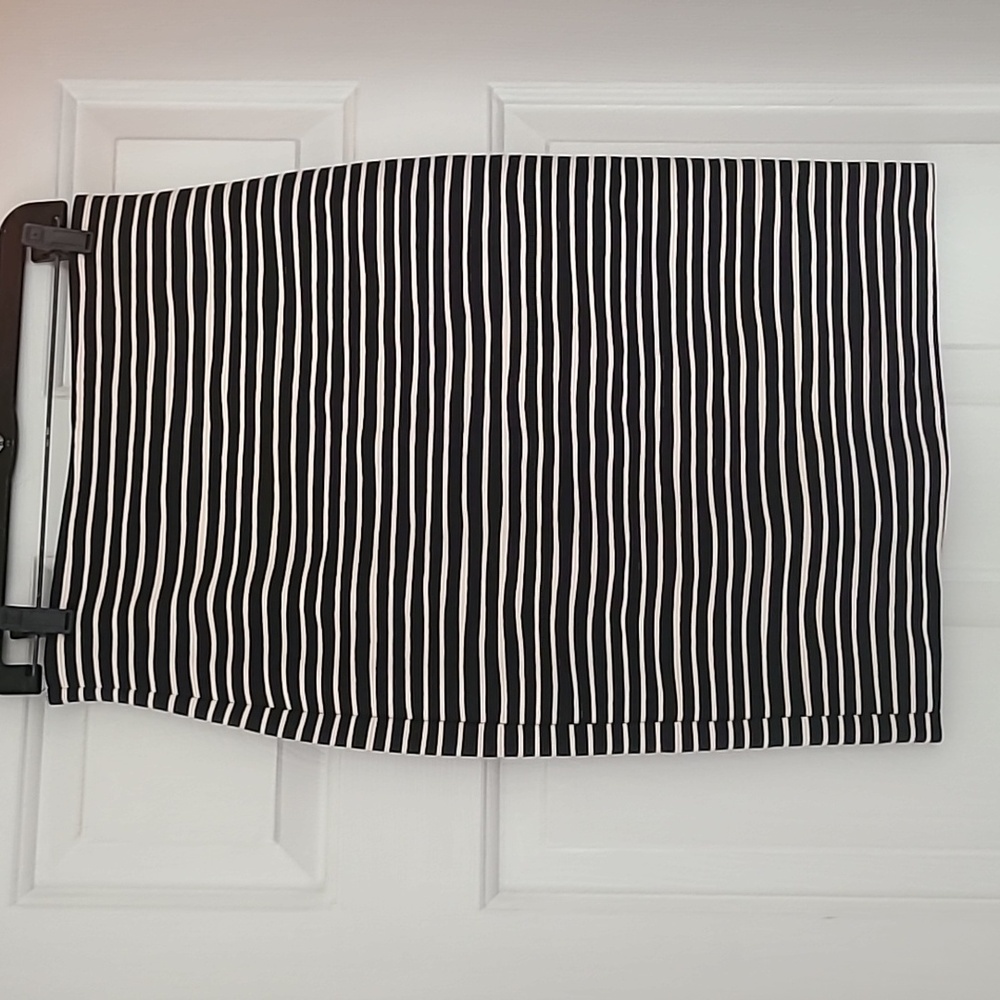 Ann Taylor skirt